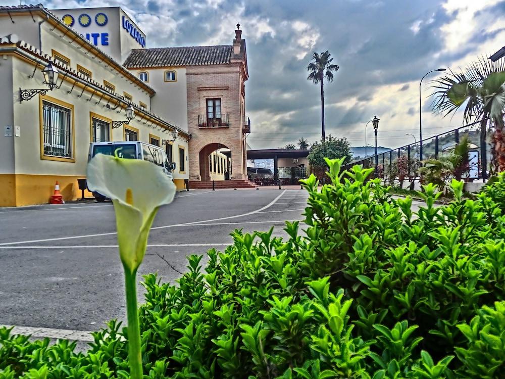 Hotel Lozano Antequera Dış mekan fotoğraf